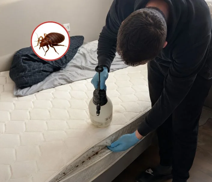 Technicien traitant un matelas contre les punaises de lit à Neuilly-sur-Marne